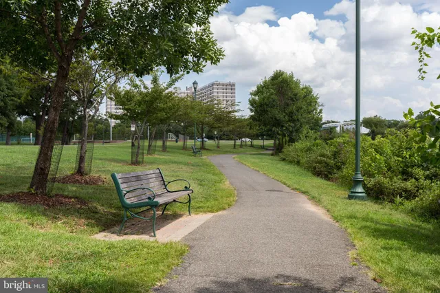 a view of a park with bench and trees