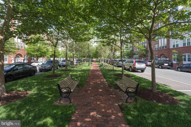 a street view along with residential houses