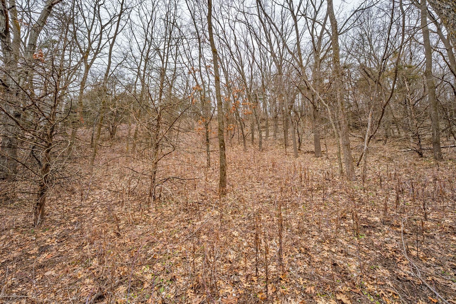 N2301 Cactus Acres Lodi, WI 53555 - Photo 14 of 15