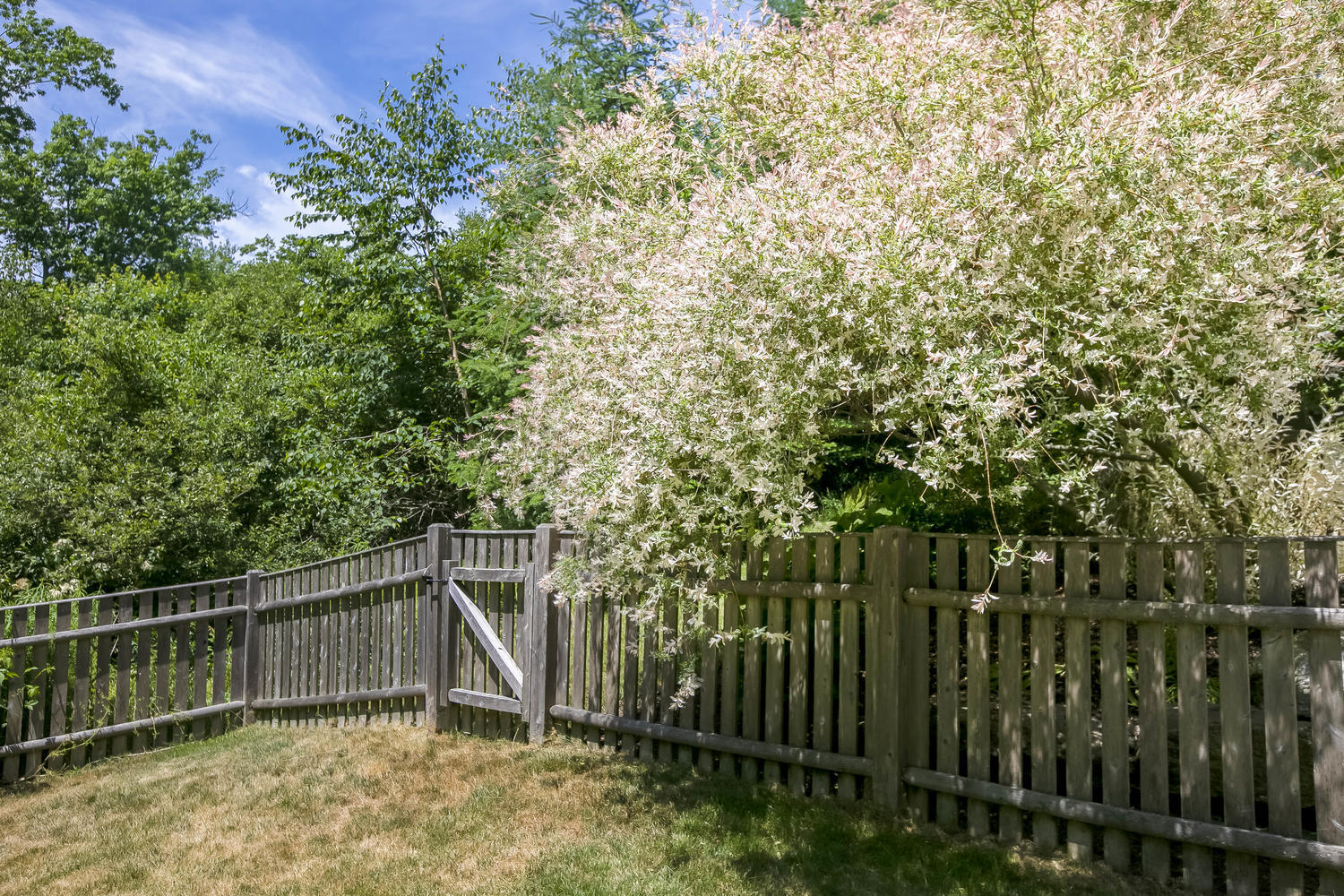 64 Cross Hill Road Cape Elizabeth, ME 04107 - Photo 54 of 54 64 Cross Hill Rd Cape-large-054-054-Back