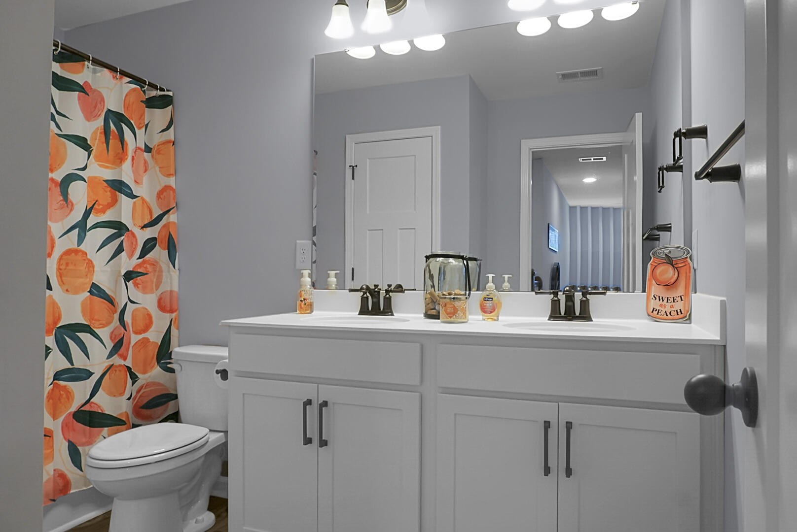 291 Red Leaf Boulevard Moncks Corner, SC 29461 - Photo 33 of 57 DSC02261