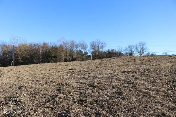 a view of a dry yard with trees in the background
