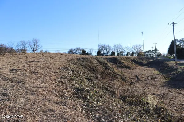 a view of a dry yard with trees
