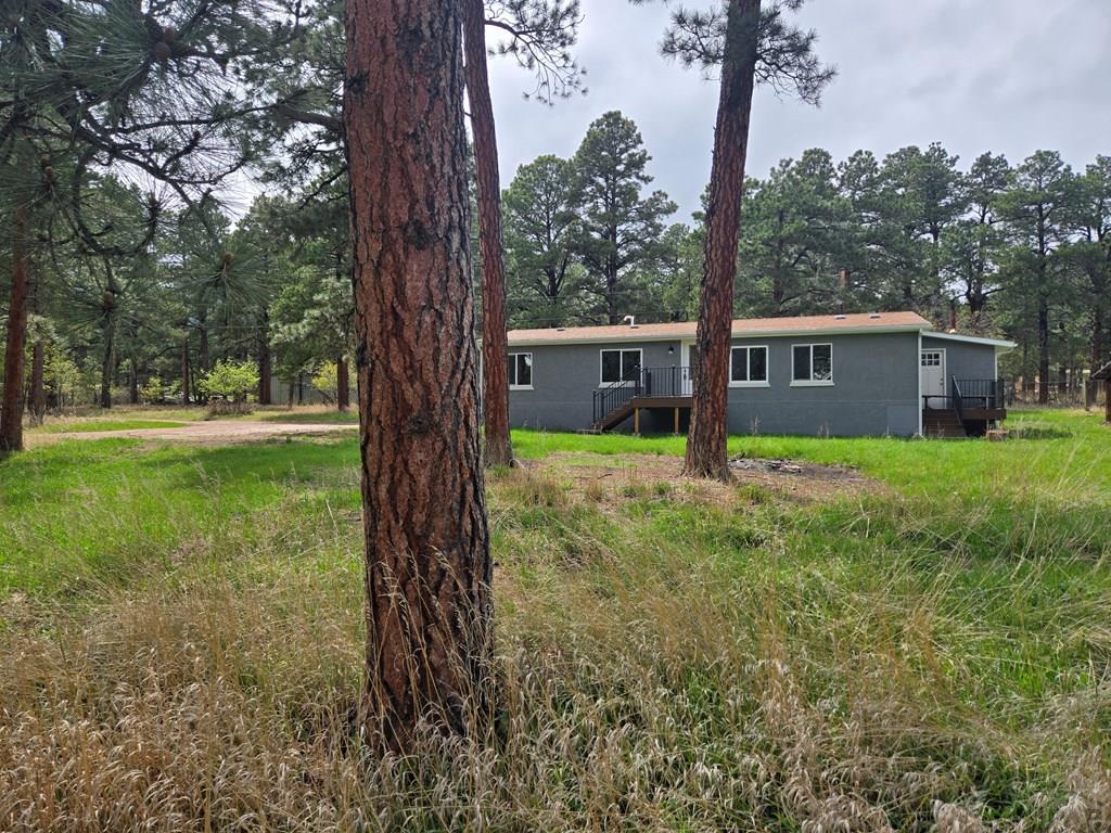 8229 Green Lane Rye, CO 81069 - Photo 23 of 24 a view of a house with backyard and garden