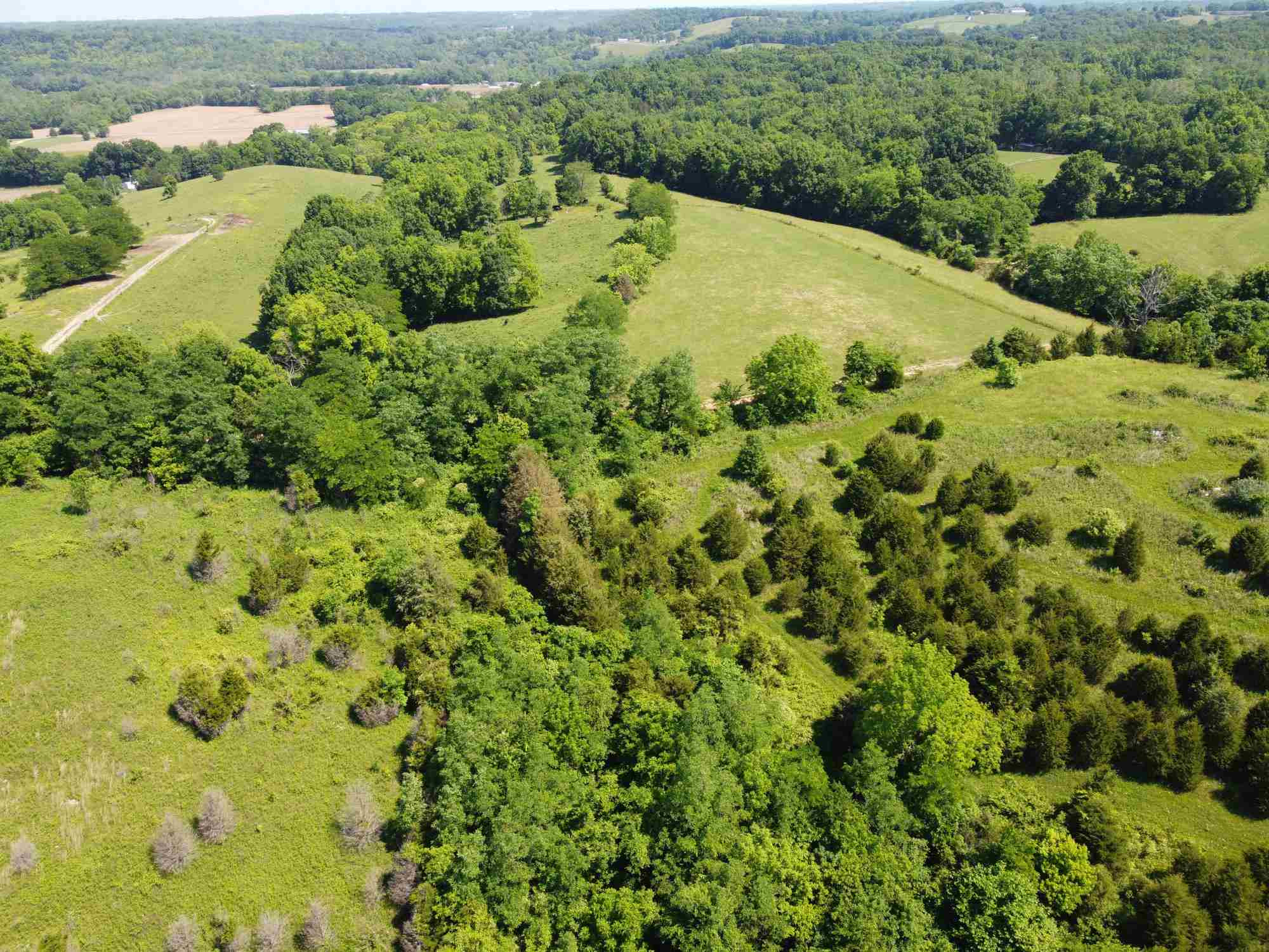 0 Fords Mill Road Dry Ridge, KY 41035 - Photo 10 of 30