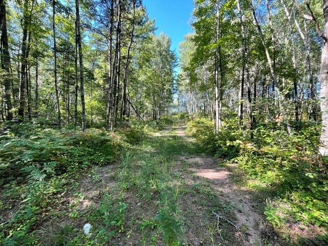 0 Mack Lake Road Trego, WI 54888 - Photo 7 of 26 Gallery Image 7
