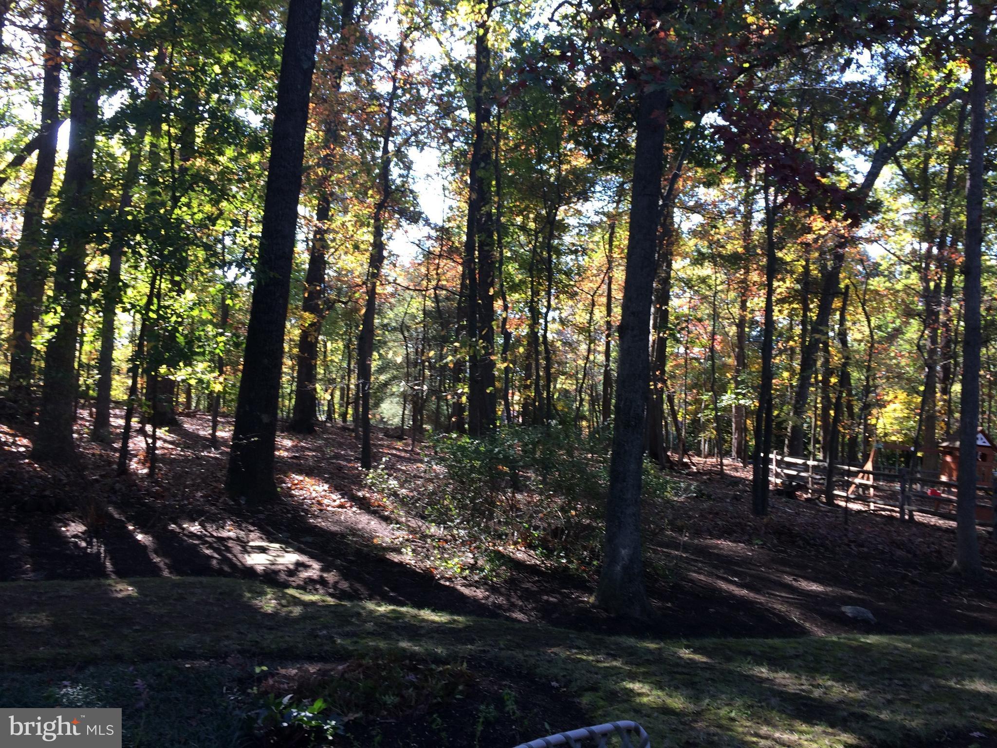 8300 Geneva Mason Road Potomac, MD 20854 - Photo 22 of 29 Private back yard