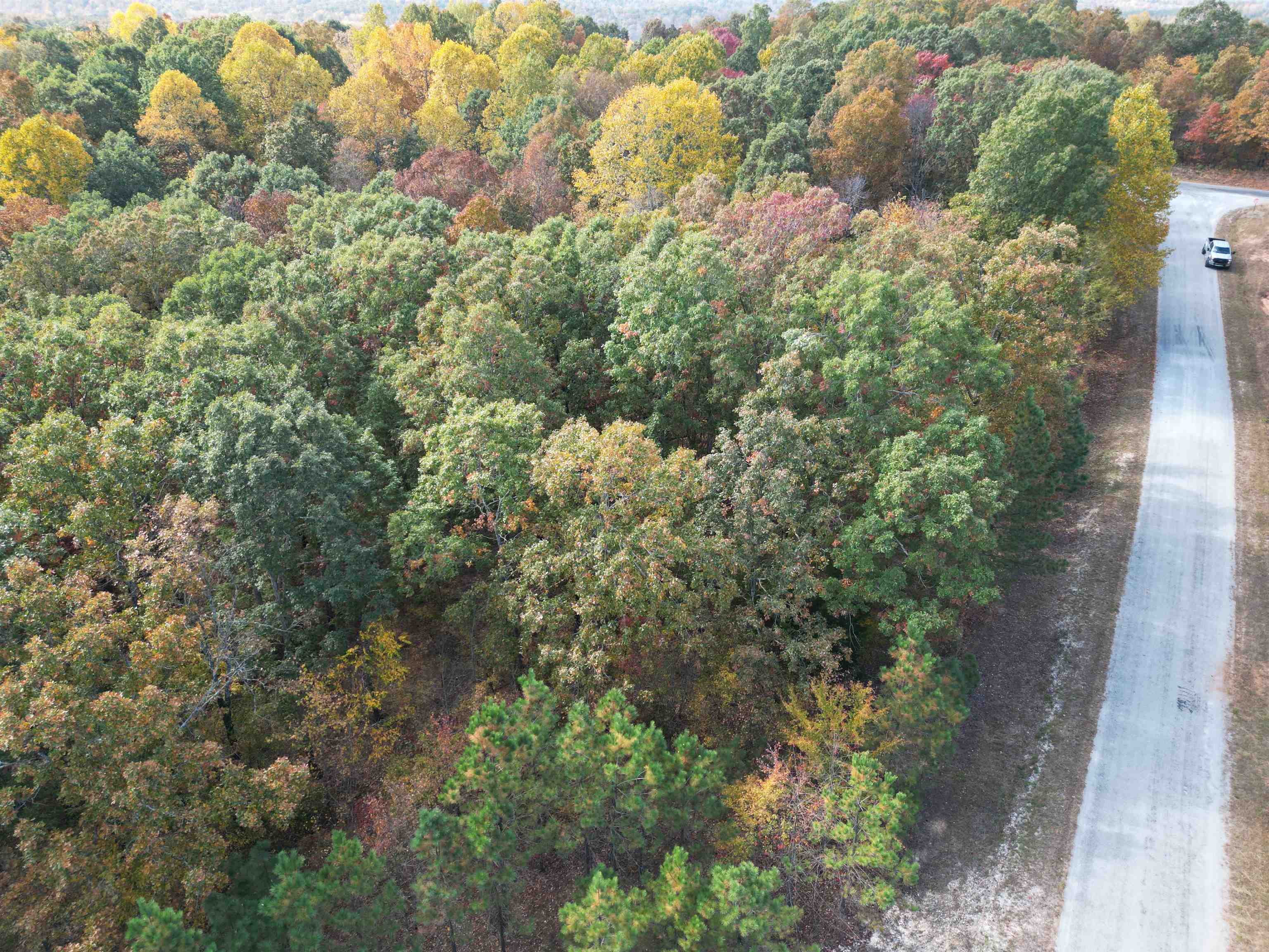Tract 5 Carnal Road Huntingdon, TN 38344 - Photo 1 of 8 a view of a forest with a tree