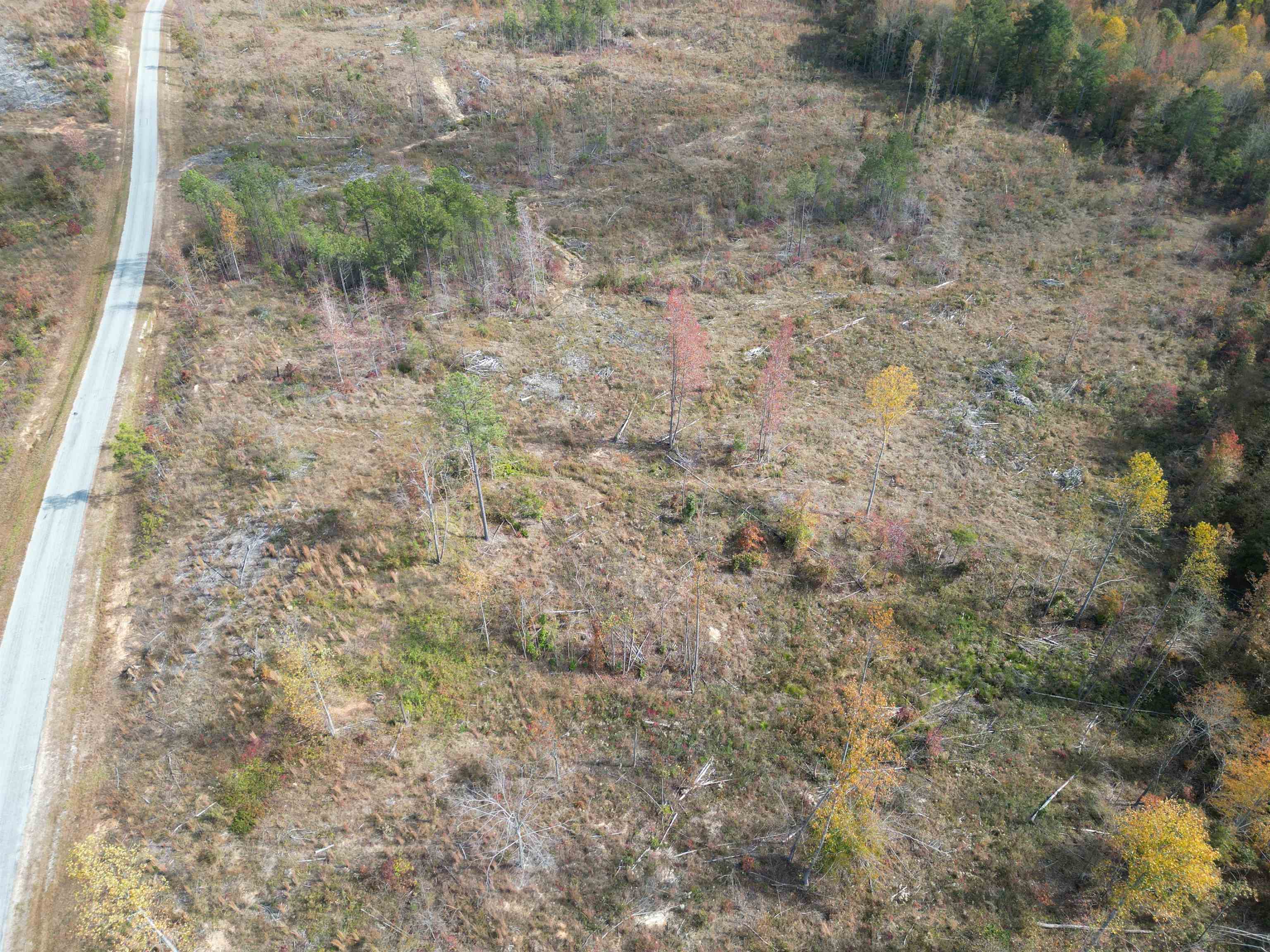 Tract 5 Carnal Road Huntingdon, TN 38344 - Photo 3 of 8 a view of a yard