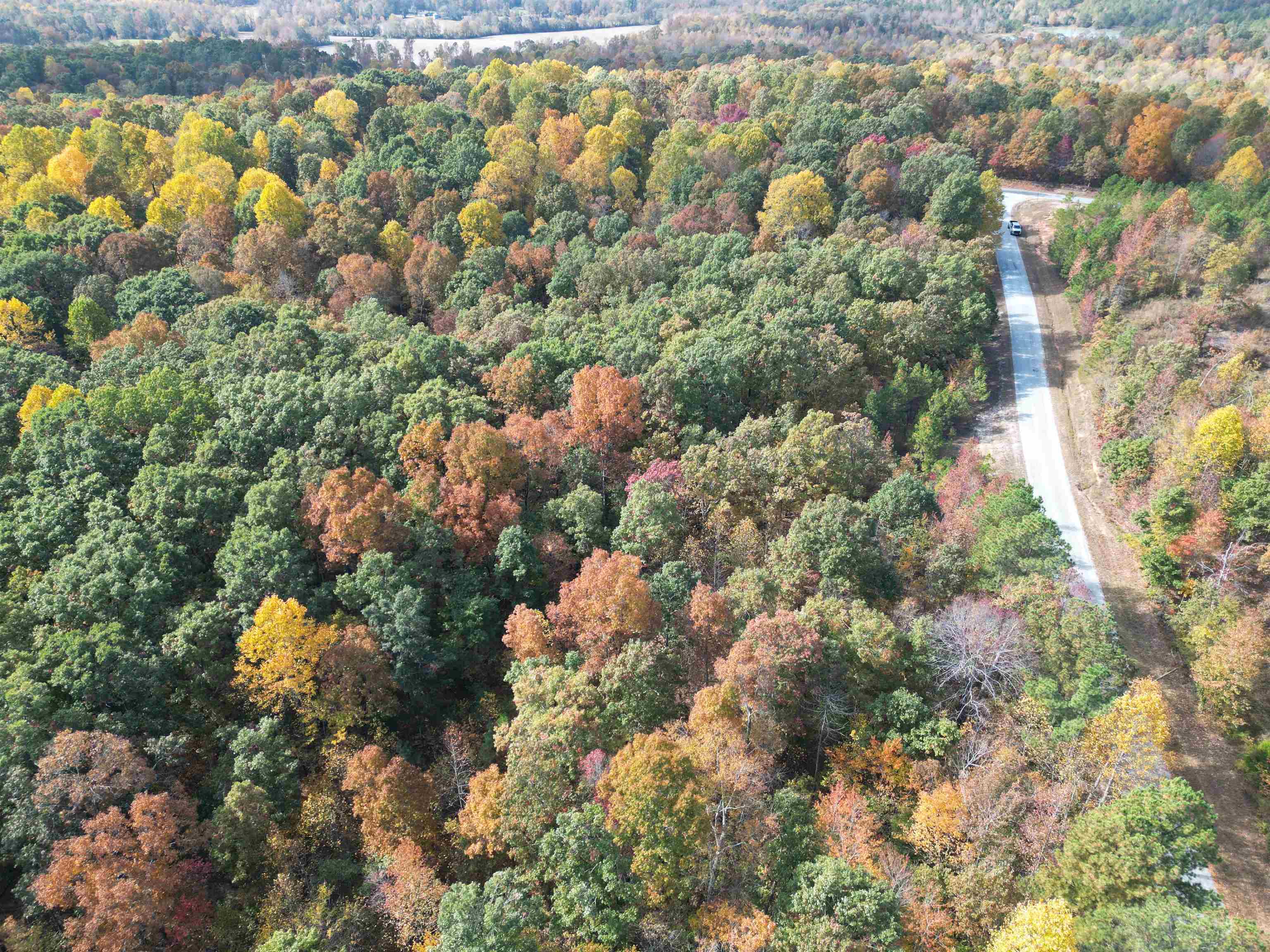 Tract 5 Carnal Road Huntingdon, TN 38344 - Photo 6 of 8