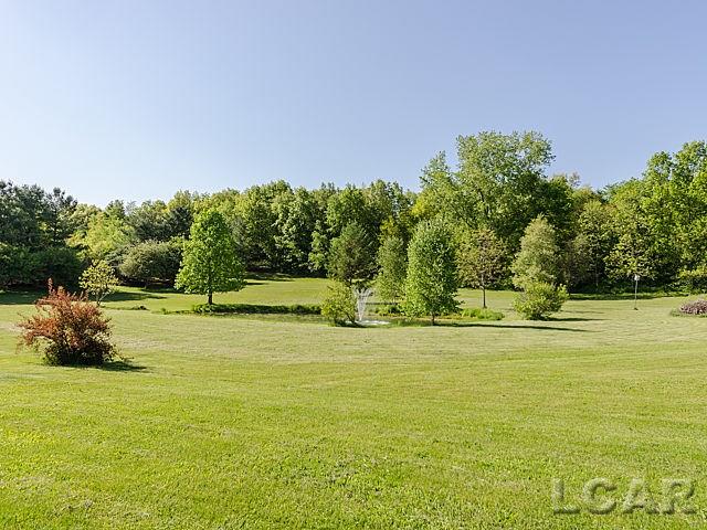 6779 West Munger Road Onsted, MI 49265 - Photo 9 of 46 31244419-8.JPG