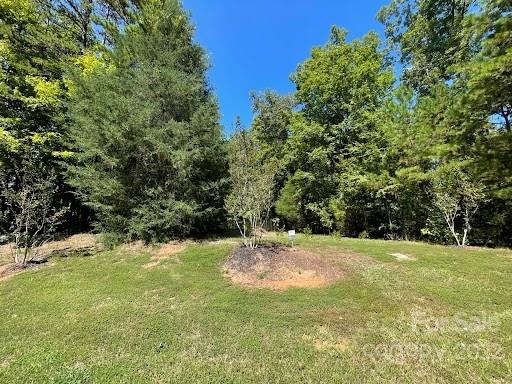 0 Point Carpenter Road, Unit 47 Indian Land, SC 29707 - Photo 1 of 2 a view of a trees with a yard