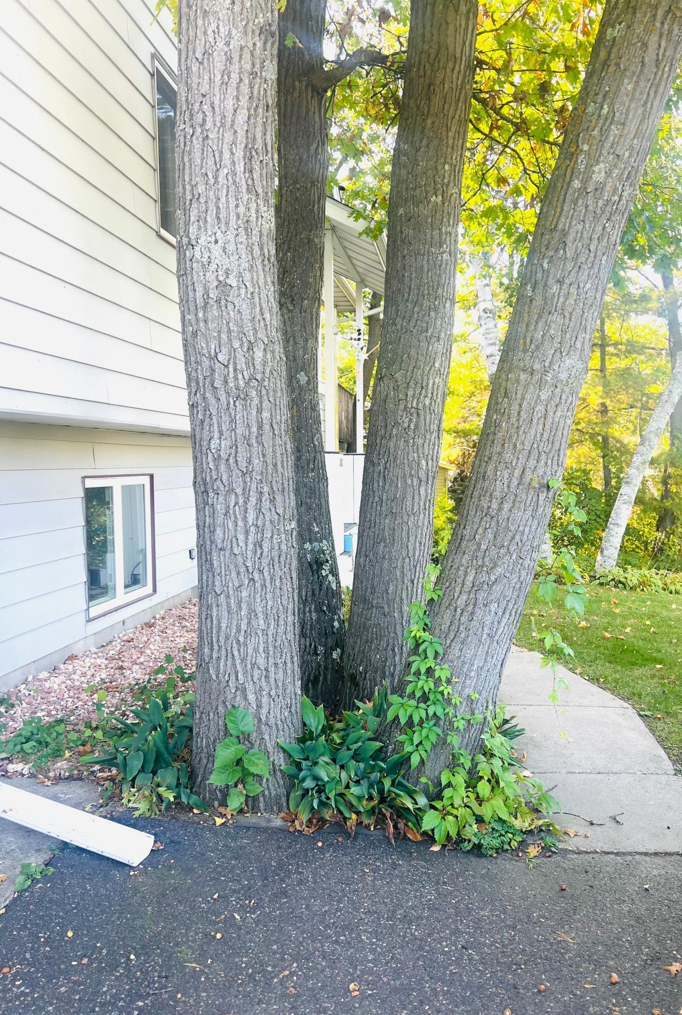 101 Summit Avenue Walker, MN 56484 - Photo 25 of 26