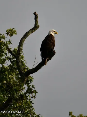 $1,300,000 | 108 Farmington Road, Grimesland, NC 27837