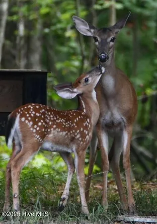 $1,300,000 | 108 Farmington Road, Grimesland, NC 27837