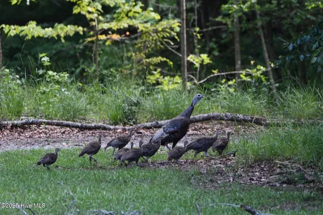 $1,300,000 | 108 Farmington Road, Grimesland, NC 27837