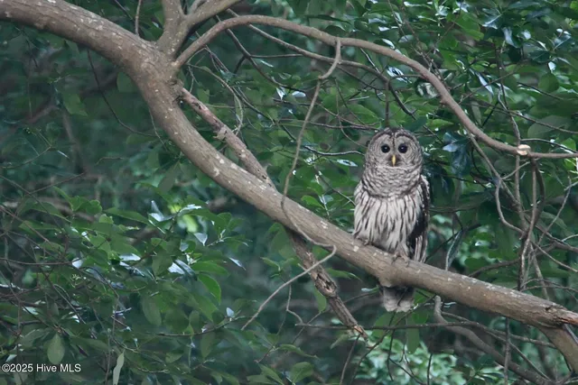 $1,300,000 | 108 Farmington Road, Grimesland, NC 27837