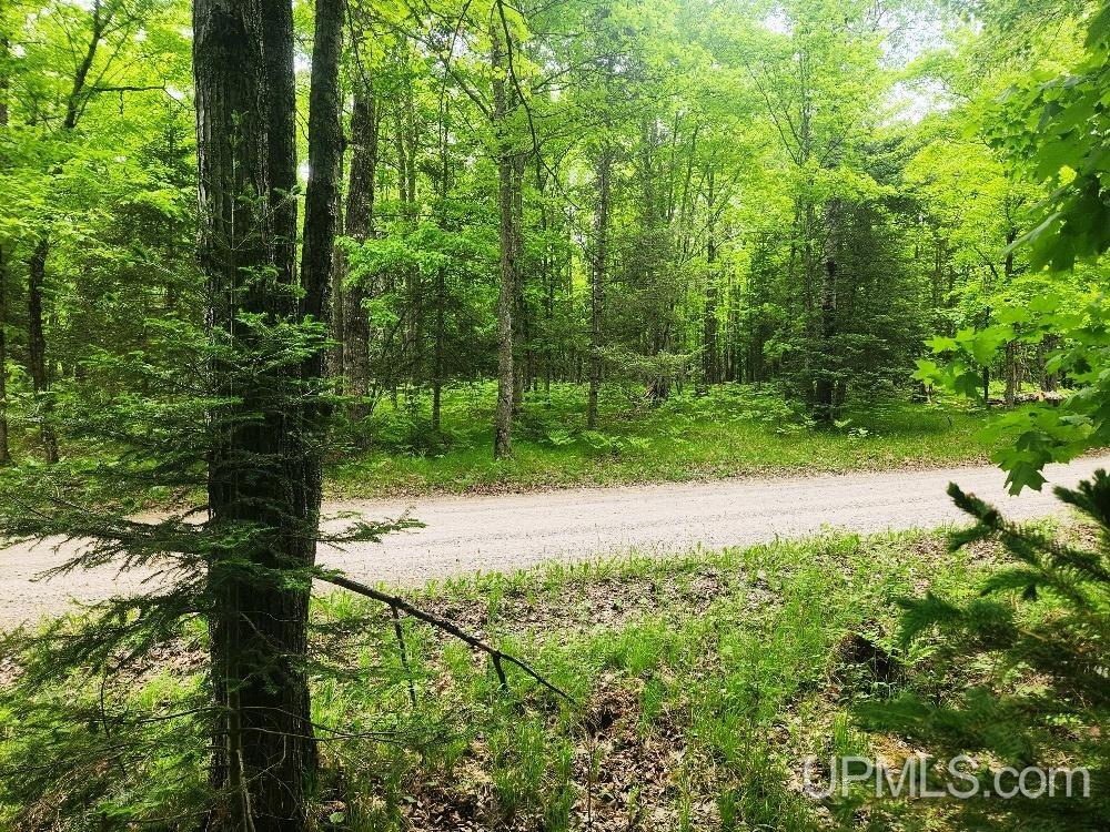 Lot 5 Wilderness Way Road Crystal Falls, MI 49920 - Photo 14 of 25