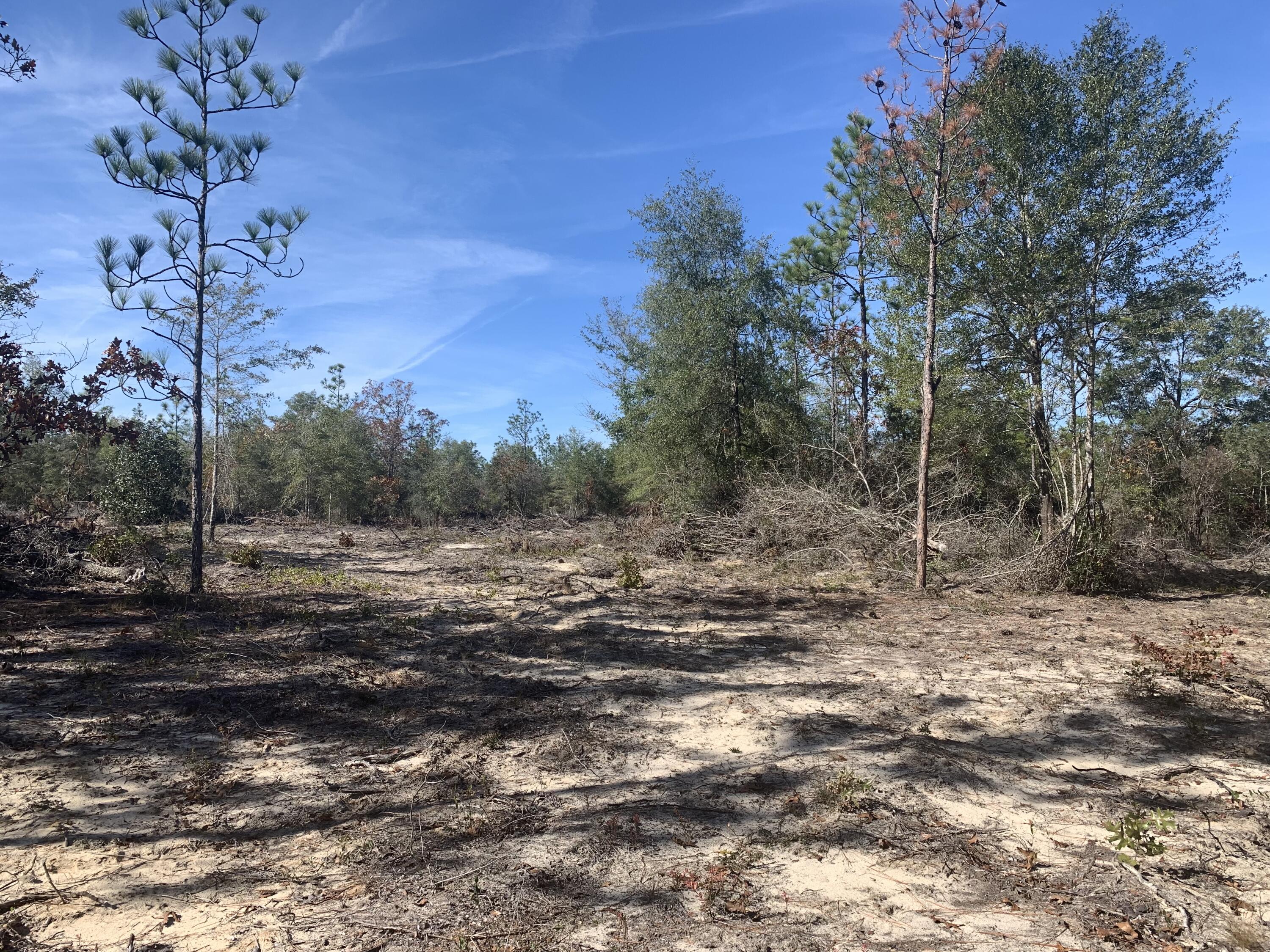 0 Tom Martin Road DeFuniak Springs, FL 32433 - Photo 1 of 12 Gallery Image 1