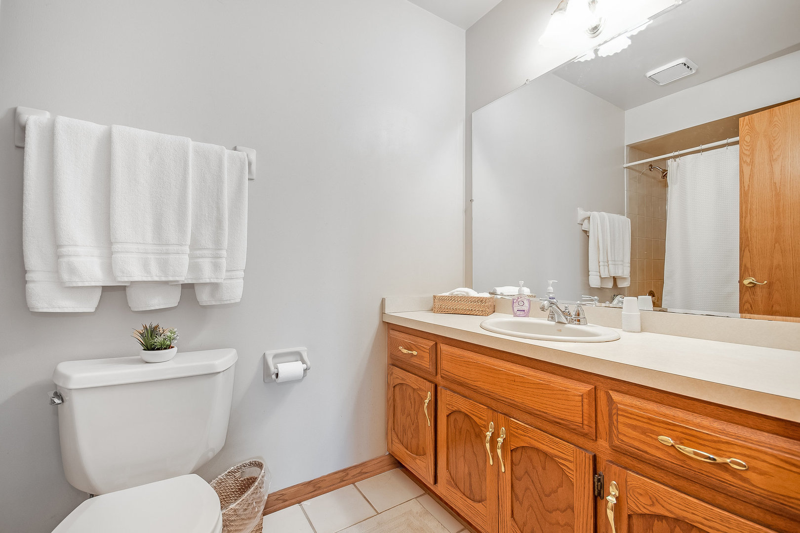 335 East Francis Road New Lenox, IL 60451 - Photo 13 of 24 Gallery Image 13
