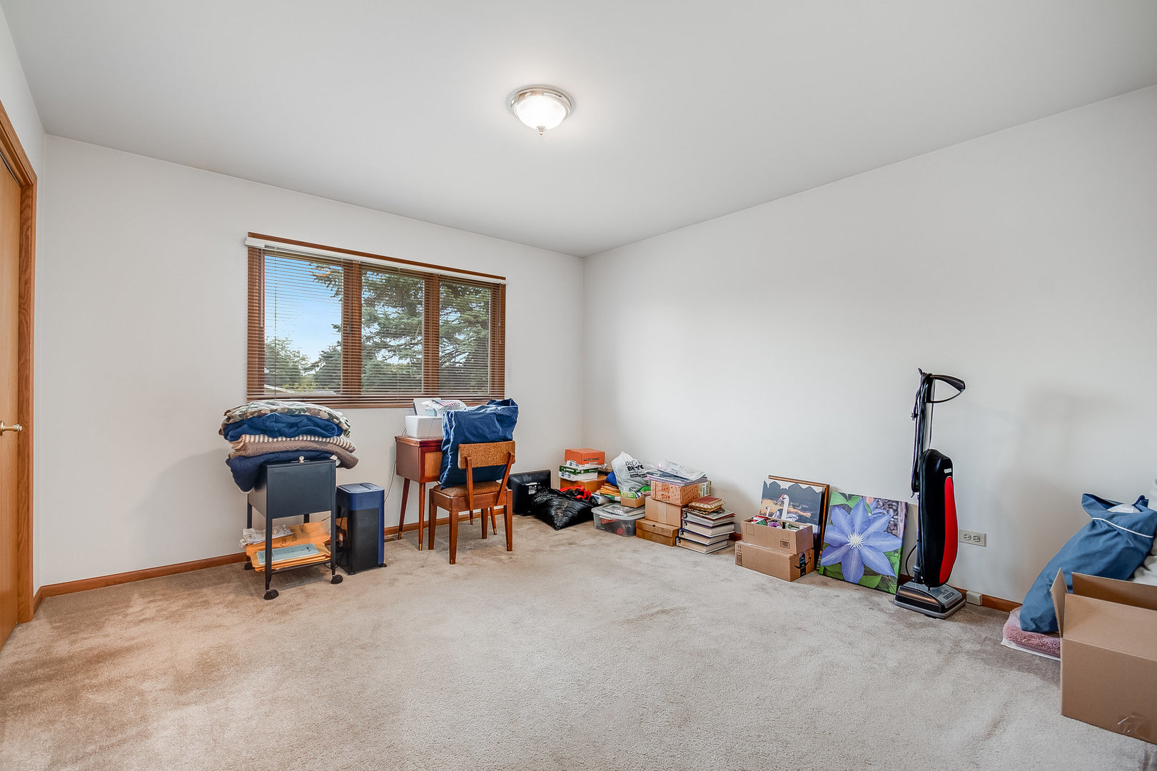 335 East Francis Road New Lenox, IL 60451 - Photo 14 of 24 Gallery Image 14