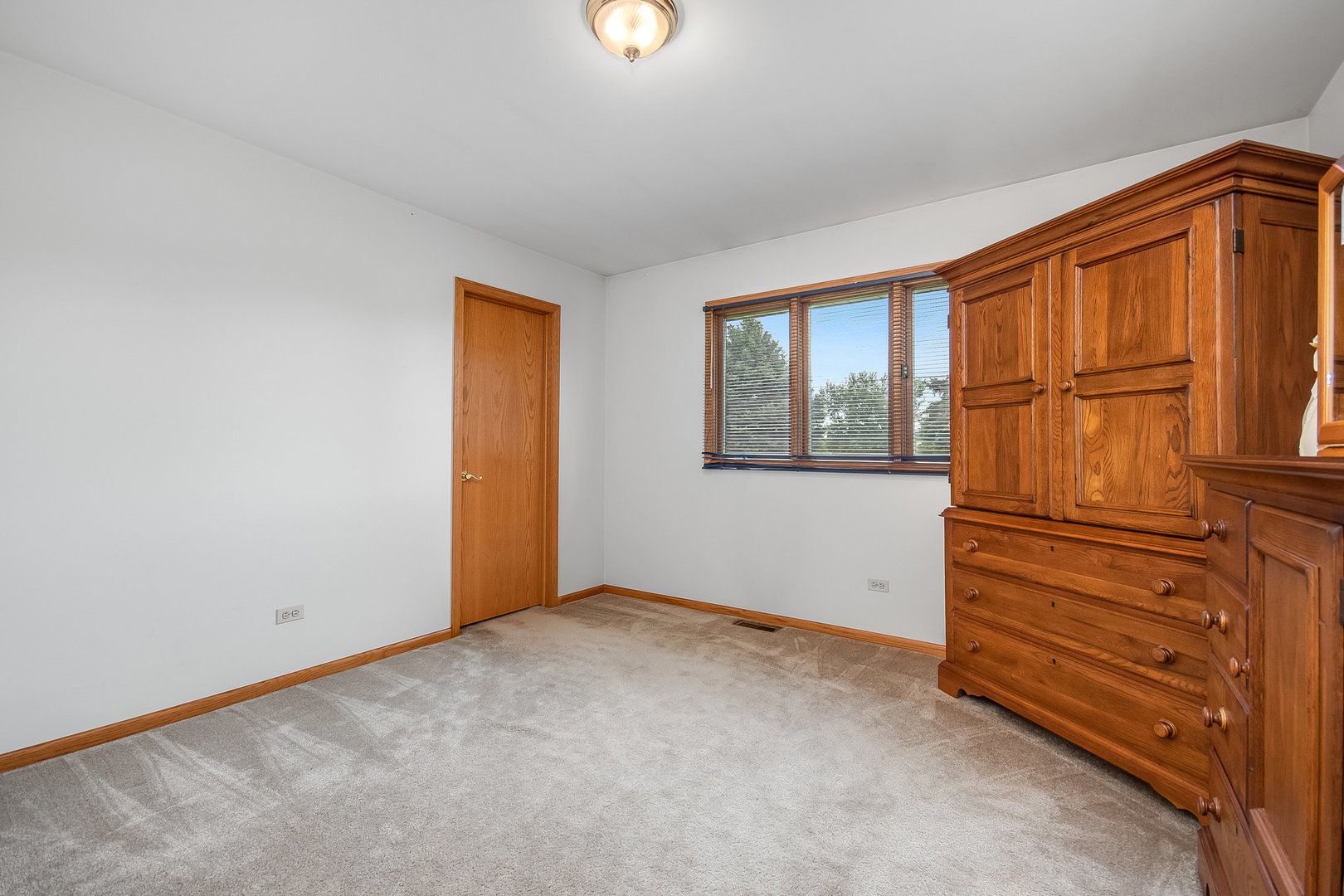 335 East Francis Road New Lenox, IL 60451 - Photo 15 of 24 Gallery Image 15