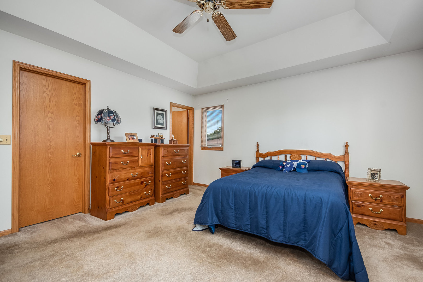 335 East Francis Road New Lenox, IL 60451 - Photo 17 of 24 Gallery Image 17