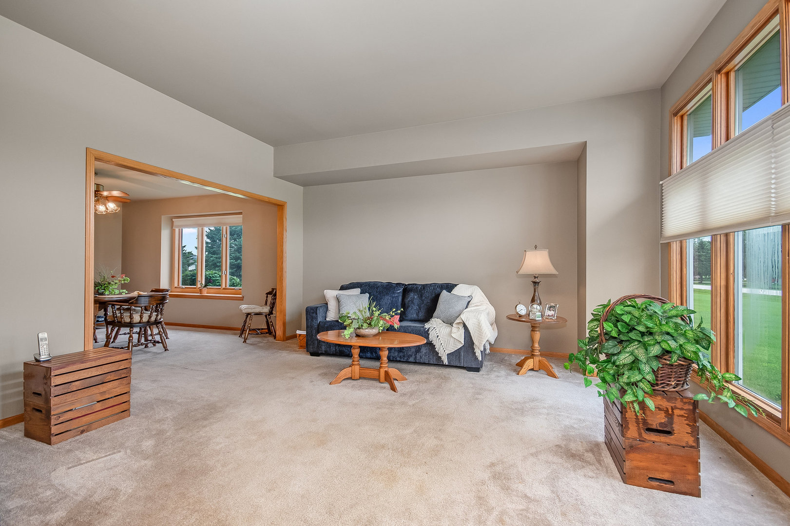 335 East Francis Road New Lenox, IL 60451 - Photo 3 of 24 Gallery Image 3