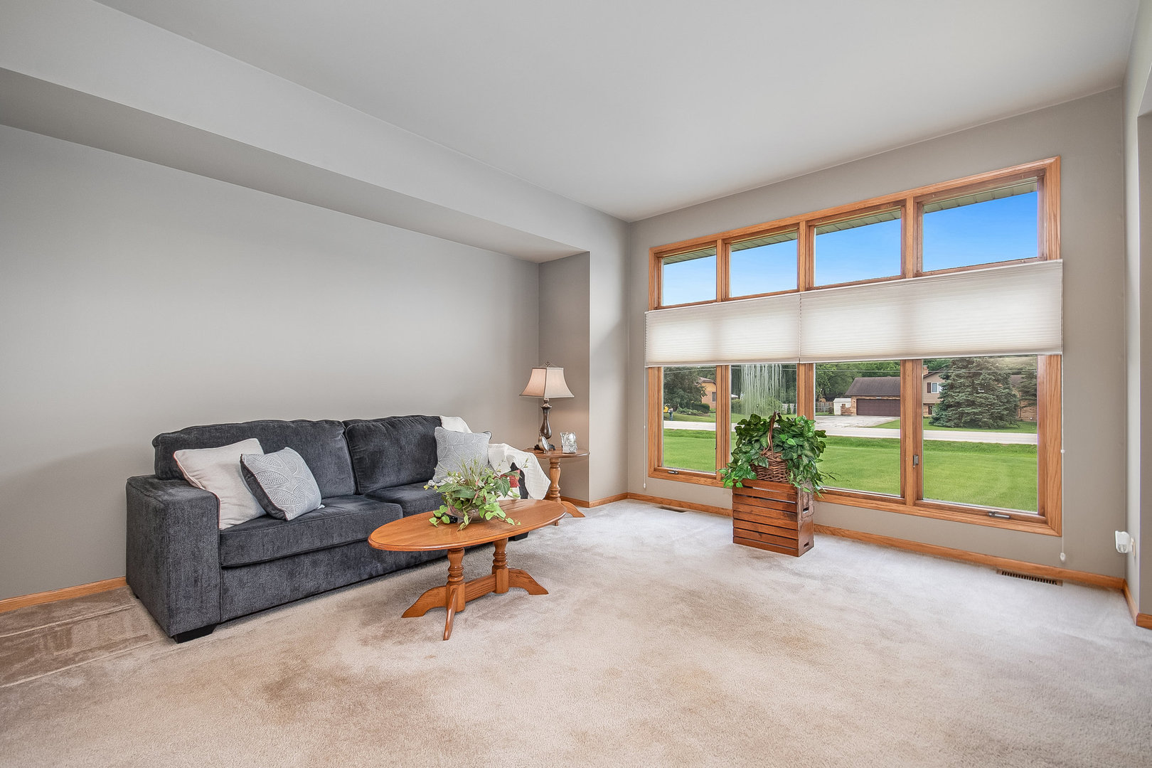 335 East Francis Road New Lenox, IL 60451 - Photo 4 of 24 Gallery Image 4