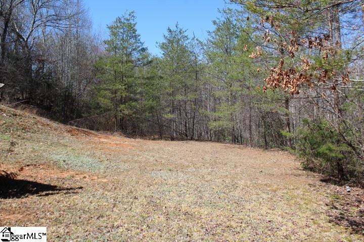 444 Pleasant Grove Road Pickens, SC 29671 - Photo 2 of 24