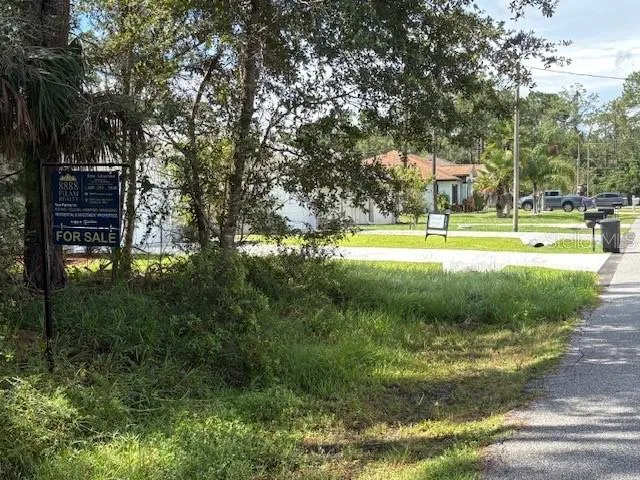 a view of a park with large trees