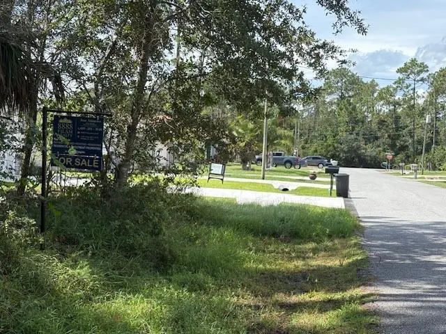 a view of a park with large trees