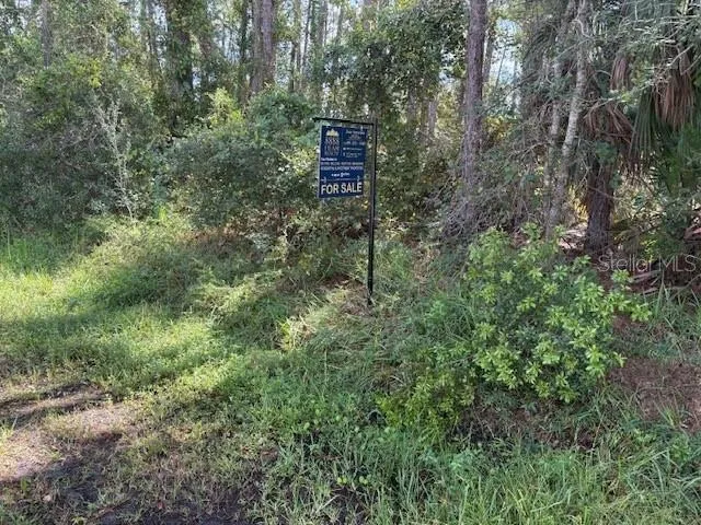 a view of a yard with basketball court