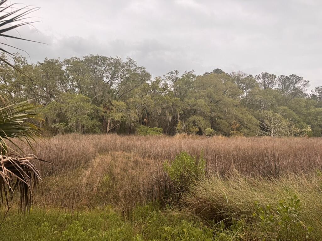15014 Bennetts Point Road Green Pond, SC 29446 - Photo 31 of 53 D316CA51-CA0F-469E-B845-8F6281E8909B_1_1