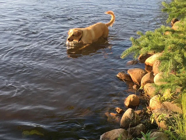 $849,000 | 37931 Dream Island Road, Crosslake, MN 56442