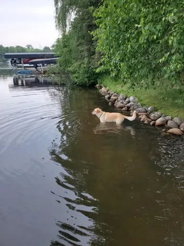 $849,000 | 37931 Dream Island Road, Crosslake, MN 56442