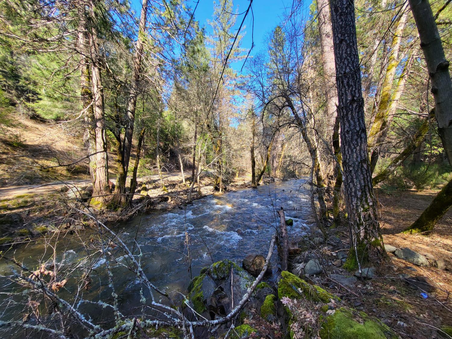 2733 Emco Road Rail Road Flat, CA 95248 - Photo 17 of 41 a view of backyard with green space
