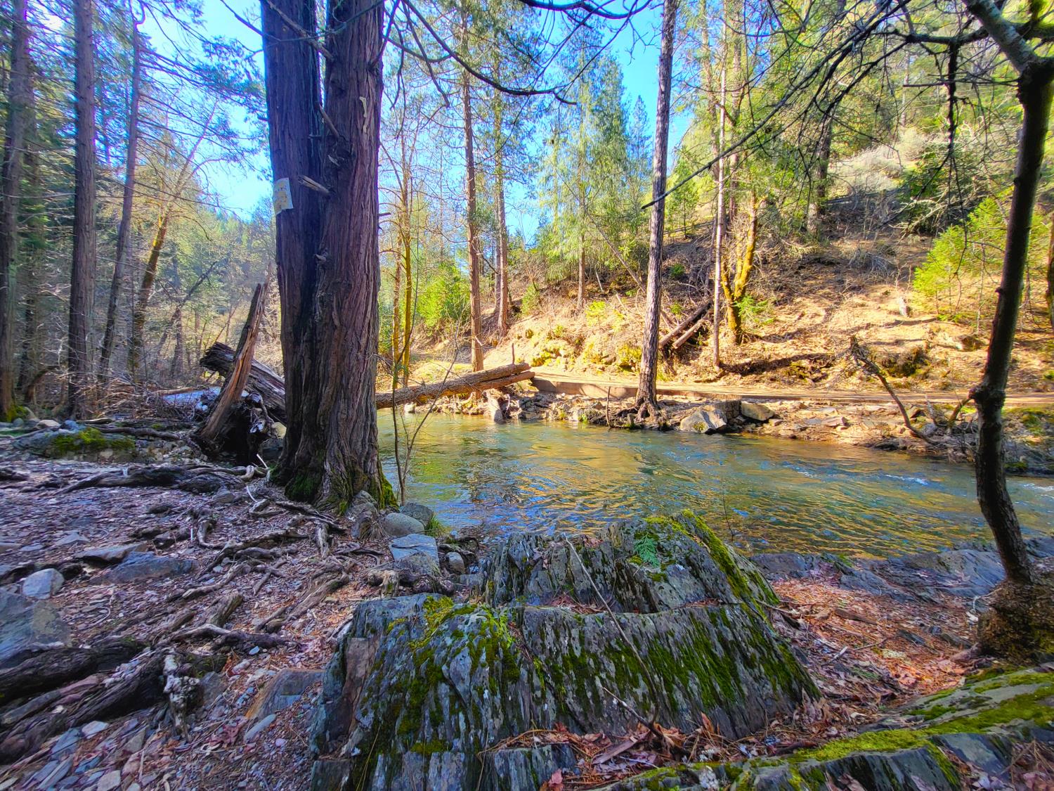 2733 Emco Road Rail Road Flat, CA 95248 - Photo 41 of 41 a view of a lake with large trees