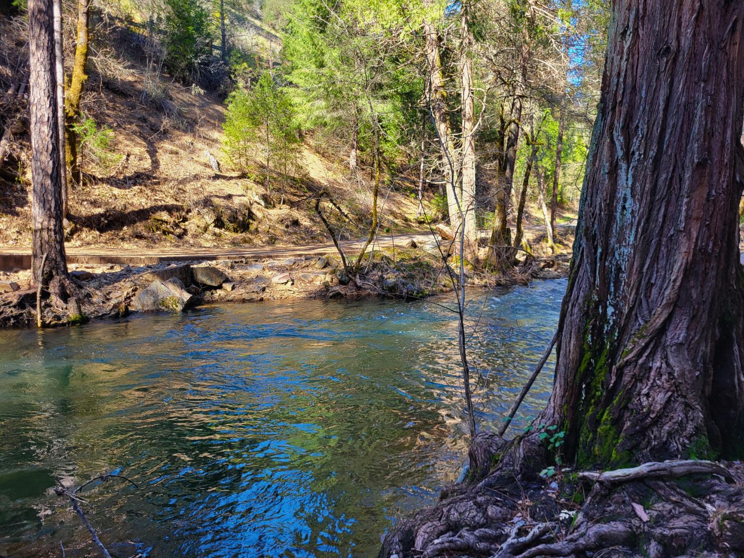 2733 Emco Road Rail Road Flat, CA 95248 - Photo 5 of 41 a view of lake