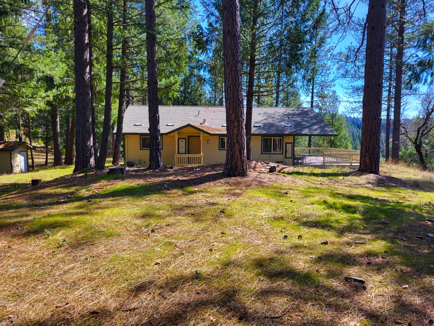 2733 Emco Road Rail Road Flat, CA 95248 - Photo 7 of 41 a view of swimming pool with lawn chairs and large trees
