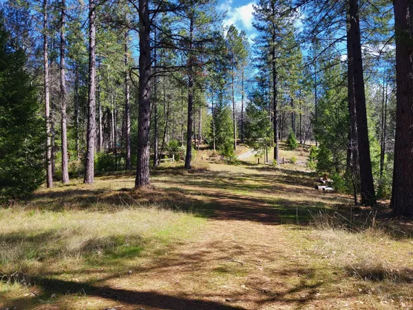 $435,000 | 2733 Emco Road, Rail Road Flat, CA 95248