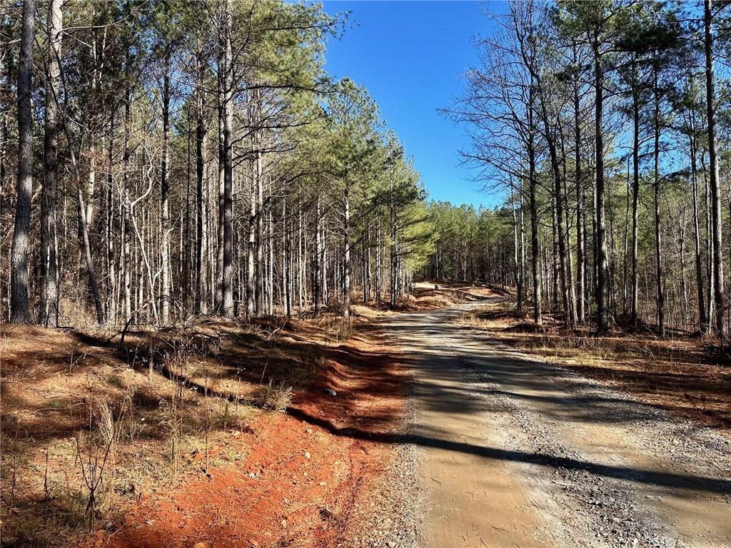 1107 Larmon Forks Road Dahlonega, GA 30533 - Photo 2 of 9