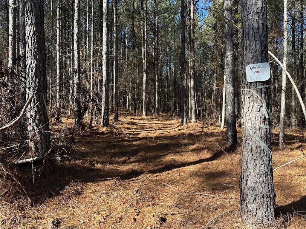 1107 Larmon Forks Road Dahlonega, GA 30533 - Photo 3 of 9