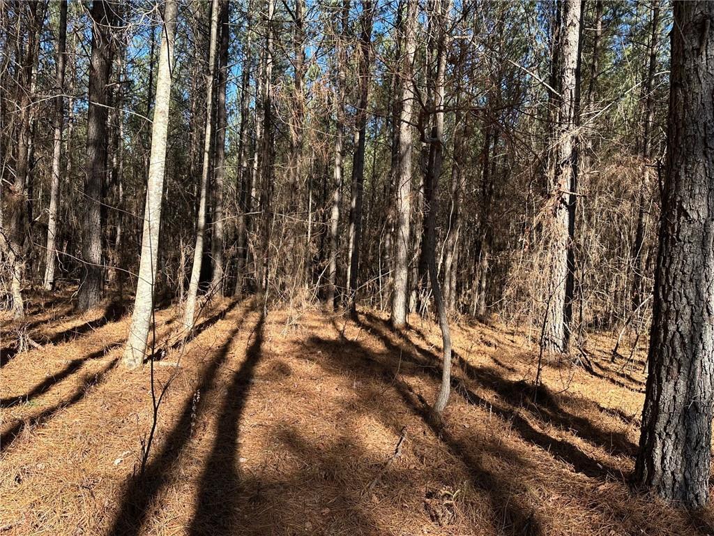 1107 Larmon Forks Road Dahlonega, GA 30533 - Photo 4 of 9