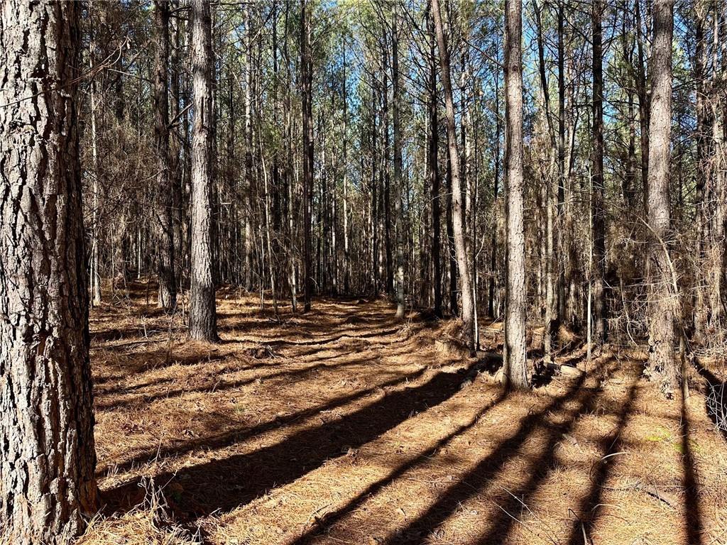 1107 Larmon Forks Road Dahlonega, GA 30533 - Photo 5 of 9