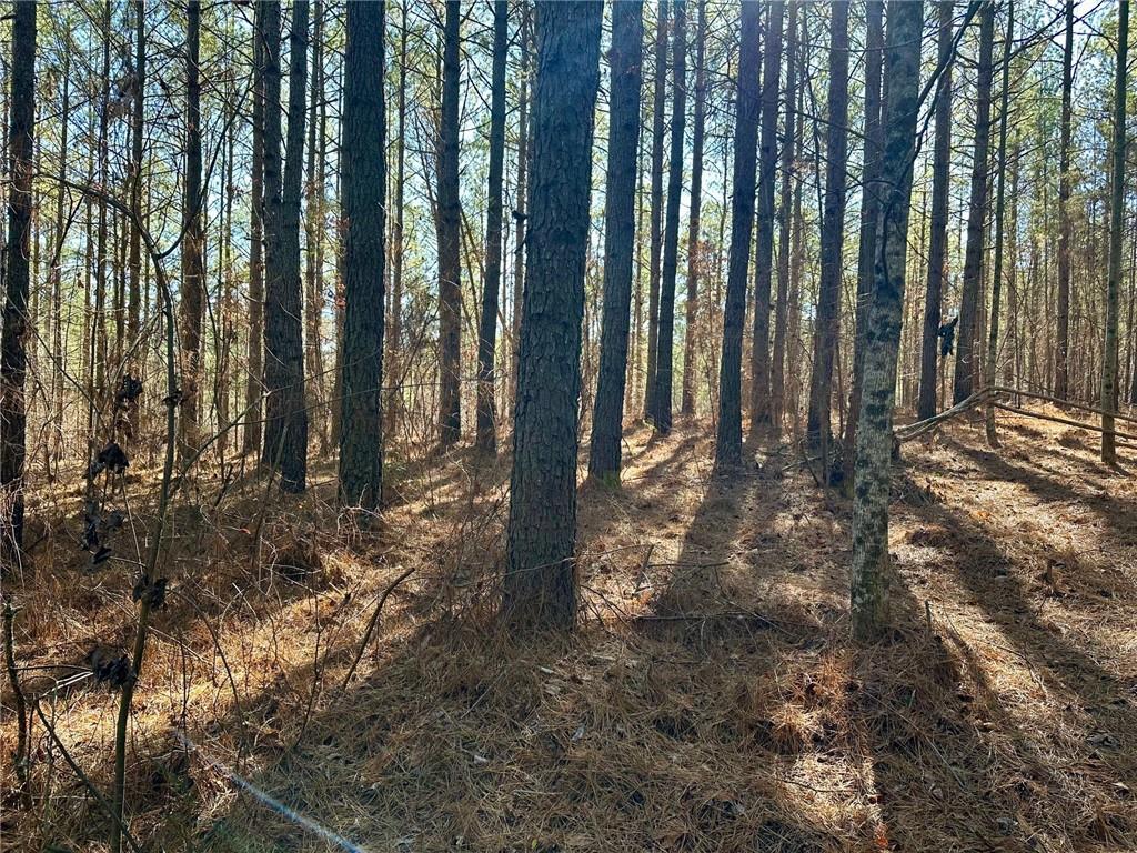 1107 Larmon Forks Road Dahlonega, GA 30533 - Photo 6 of 9