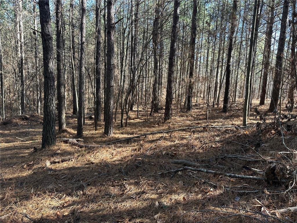 1107 Larmon Forks Road Dahlonega, GA 30533 - Photo 7 of 9