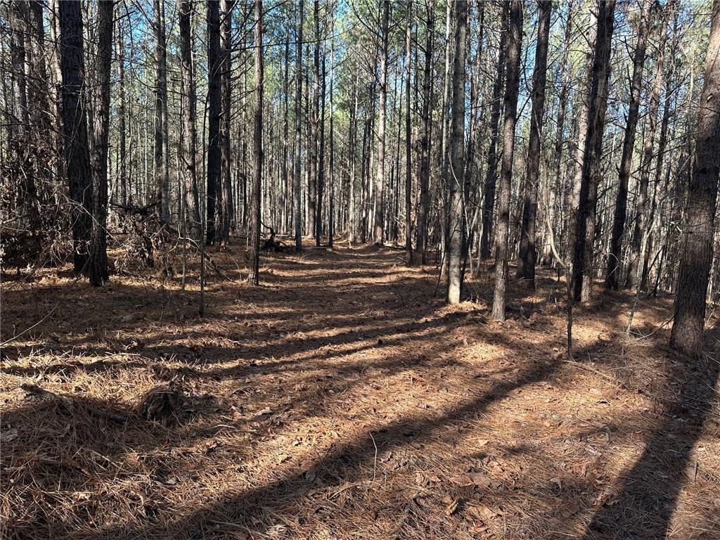 1107 Larmon Forks Road Dahlonega, GA 30533 - Photo 8 of 9