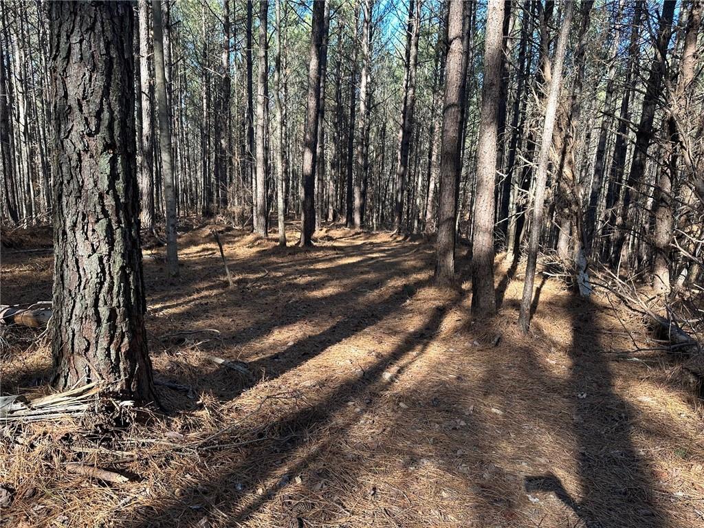 1107 Larmon Forks Road Dahlonega, GA 30533 - Photo 9 of 9