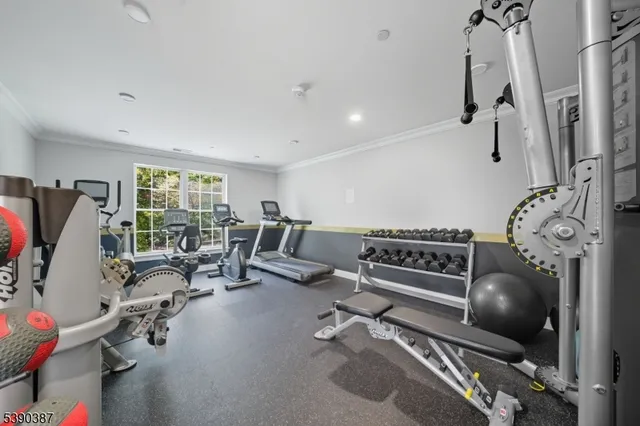 a living room with furniture a window and gym cycle